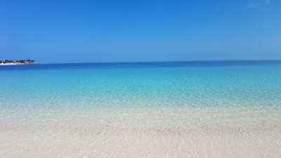 Bimini Beach at Ocean Cay Marine Reserve